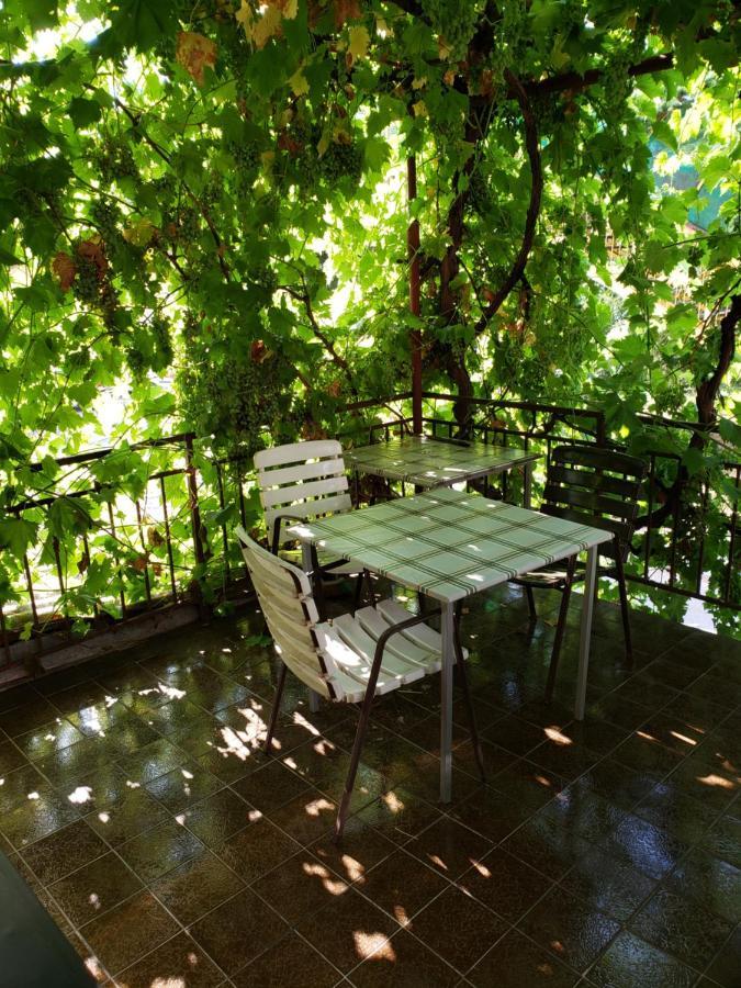 Hostel Bela Ohri Dış mekan fotoğraf